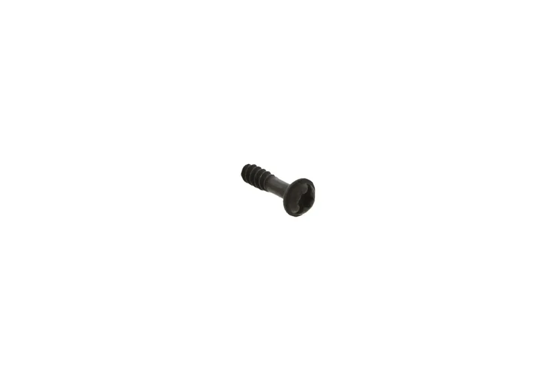 HOMELITE Chain SAWS TAPTITE Screw